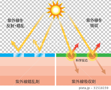 紫外線吸収剤　紫外線錯乱剤 31518159