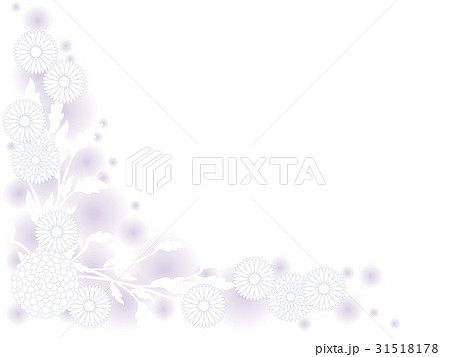 白い花のフレーム13のイラスト素材