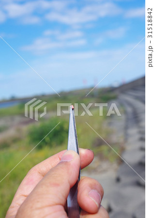 摘んだマイクロプラスチック 31518842