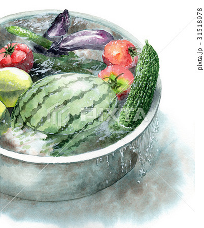 たらいで冷やしている野菜 31518978