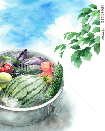 たらいで冷やしている野菜 31518980