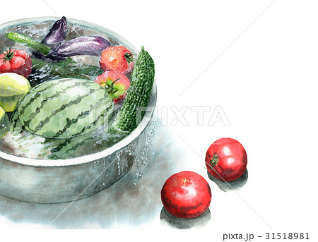 たらいで冷やしている野菜 31518981