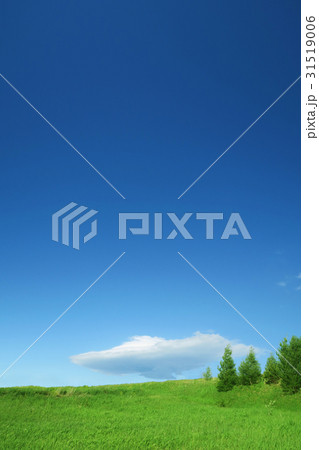 草原と緑と青空 31519006