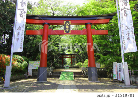大宮八幡宮の新緑 31519781