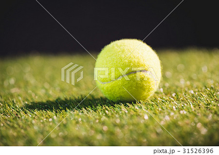 Close up of tennis ball Close up of tennis ball 31526396