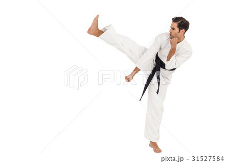 Fighter performing karate stance 31527584