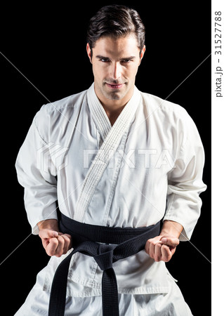 Portrait of fighter performing karate stance 31527788