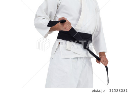 Mid section of fighter tightening karate belt 31528081