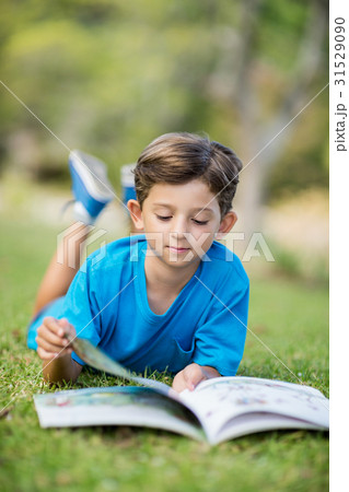 Young boy reading book in park 31529090
