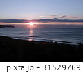 鴨川の朝日 31529769