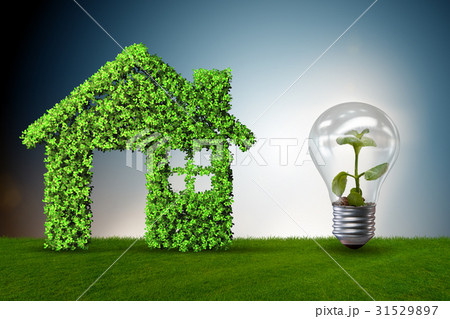 Green house power concept - 3d rendering 31529897