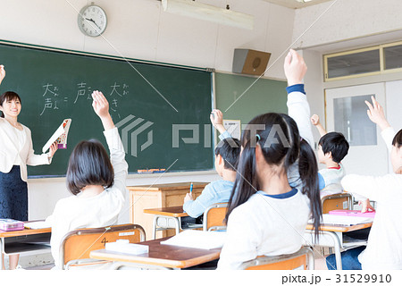 小学校、授業イメージ、挙手 31529910