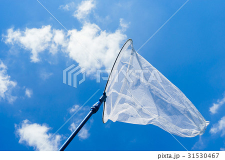 青空と虫とり網　《夏のイメージ》 31530467