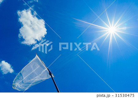 青空と虫とり網　《夏のイメージ》 31530475