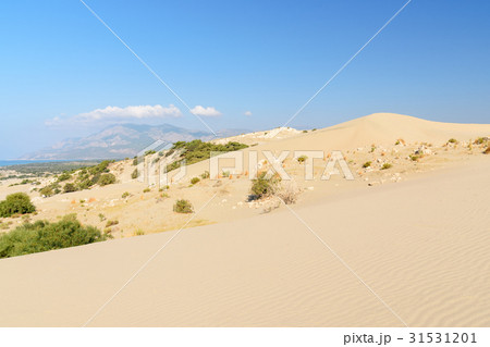 Sand dunes on Patara beach. Turkey 31531201