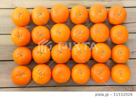 24個のタンカン 24個のタンカン 31532026