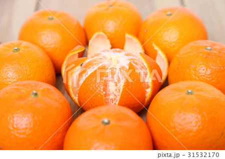 円形に並んだ蜜柑 円形に並んだ蜜柑 31532170