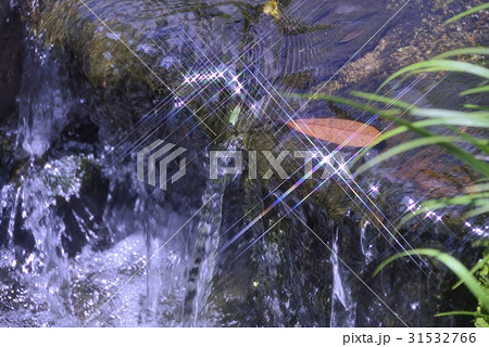 流水に輝く虹光 31532766