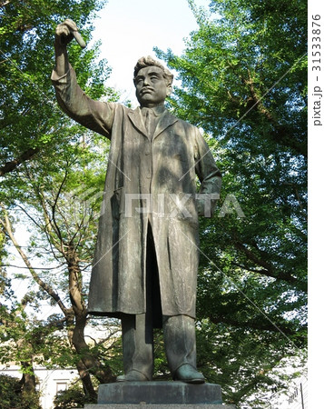 上野公園の野口英世銅像 上野公園の野口英世銅像 31533876