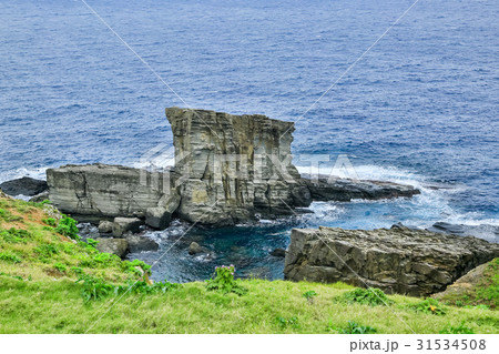 与那国島の軍艦岩 31534508