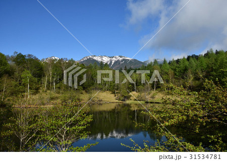 八ヶ岳の眺望 31534781