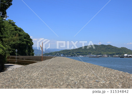 浦戸湾　堤防上から見た五台山 31534842