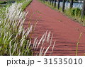 遊歩道 31535010
