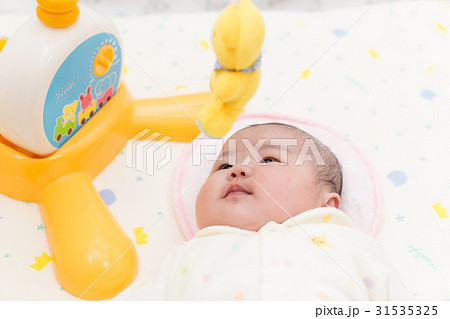 メリーと赤ちゃん 31535325