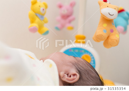 メリーと赤ちゃん メリーと赤ちゃん 31535354