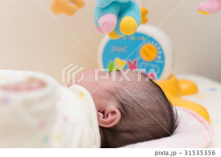 メリーと赤ちゃん 31535356