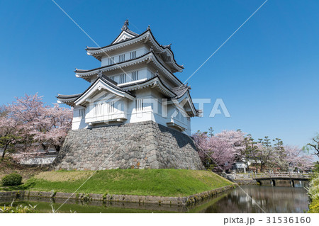 忍城址御三階櫓 31536160