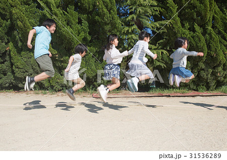 縄跳びをする小学生 31536289