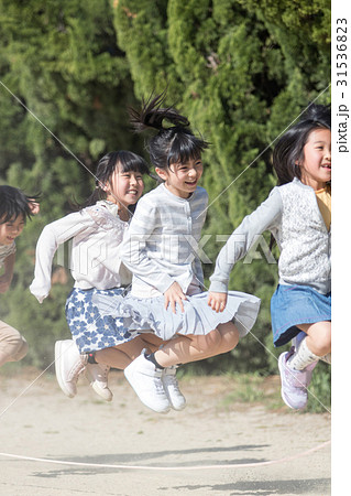 縄跳びをする小学生 31536823