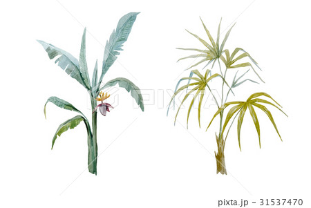 Watercolor vector hand drawn palms Watercolor vector hand drawn palms 31537470