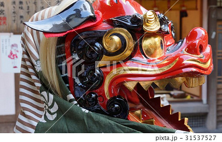 獅子 横顔アップ shishimaiの写真素材 [31537527] - PIXTA
