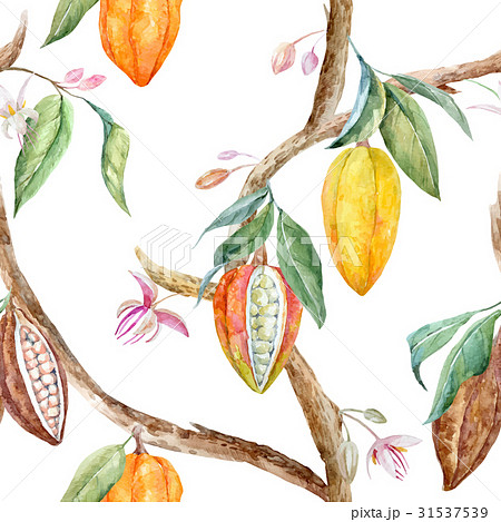 Watercolor cocoa vector pattern Watercolor cocoa vector pattern 31537539