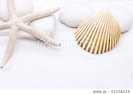 summer season, decotion on white sand beach summer season, decotion on white sand beach 31538229