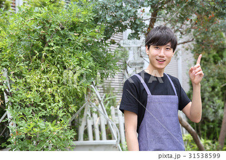 ガーデニングする男性 31538599