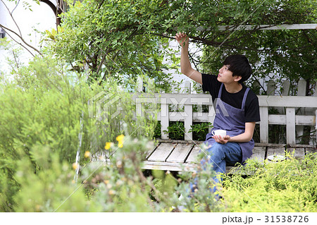 ガーデナー 31538726