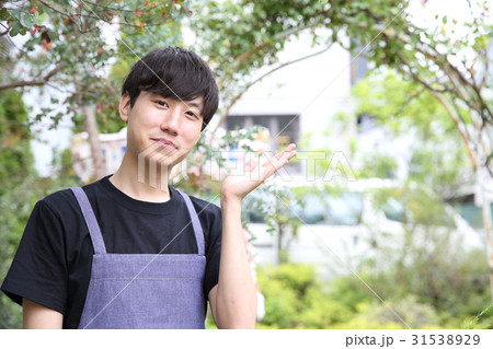 ガーデニングする男性 ガーデニングする男性 31538929