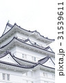 小田原城 31539611