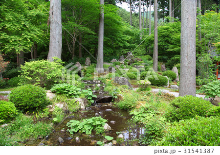 三千院　慈眼の庭 31541387