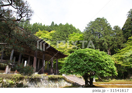 勝林院 勝林院 31541617