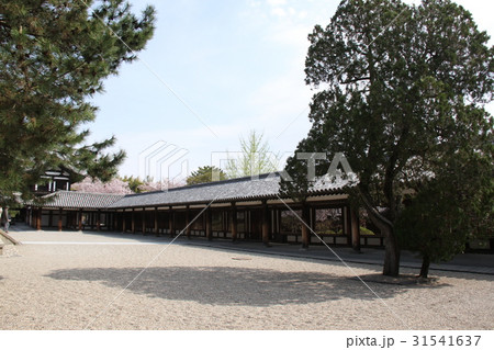 法隆寺 法隆寺 31541637
