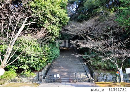 豊国廟の参道：阿弥陀ヶ峰の麓 31541782