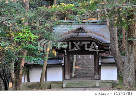 豊国廟の参道：阿弥陀ヶ峰 31541783