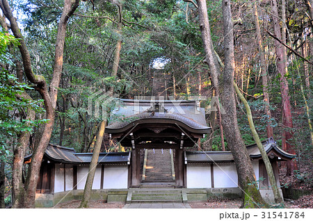 豊国廟の参道:阿弥陀ヶ峰 豊国廟の参道:阿弥陀ヶ峰 31541784