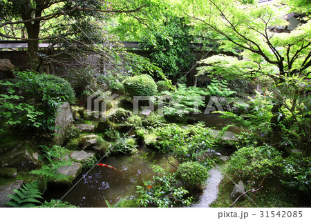 宝泉院　鶴亀庭園 31542085