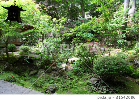 宝泉院　鶴亀庭園 31542086