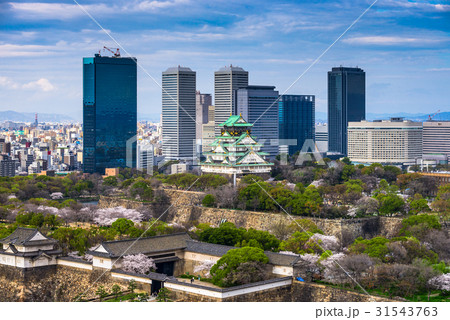 Osaka Castle in Spring 31543763